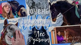 ОГРОМНЫЙ VLOG|не показывайте лошадям валенки|почему так долго нет видео?|втягиваемся в работу|