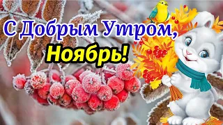 С Добрым Утром, Ноябрь!🍁❄️ Здравствуй, Ноябрь! Музыкальная Открытка Пожелание! Музыка Сергей Чекалин