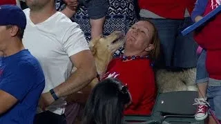 TOR@TEX: Dog's owner gets kisses at Bark In The Park