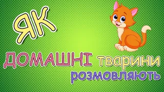 ДОМАШНІ ТВАРИНИ! Розвивайка для дітей українською мовою