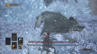 DARK SOULS 3: SL1 NG+7 Champion's Gravetender & Gravetender Greatwolf