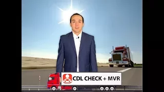 CDL Check + MVR