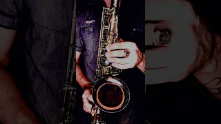 Анжелика Варум и Леонид Агутин - Февраль (SAX cover by OppositeMus)