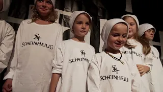 SCHEINHEILIG - Geboren um zu Leben (live)