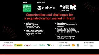 Oportunidades e desafios para um mercado regulado de carbono no Brasil