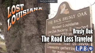 Brusly Oak | The Road Less Traveled | Lost Louisiana (1997)