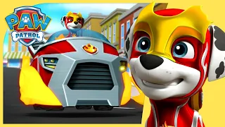 Marshall Saves Penguins in the Jungle 🐧+ More Cartoons for Kids | PAW Patrol Episodes