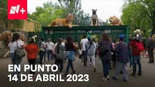 En Punto con Enrique Acevedo - Programa completo: 14 de abril 2023