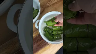 Голубцы из свекольных листьев Простой рецепт без зажарки