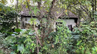 CRAZY that SINGLE OLD man has to live overgrown grass house in serious disrepair WE NEED URGENT HELP