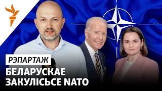 Два дні саміту NATO з журналістам Свабоды