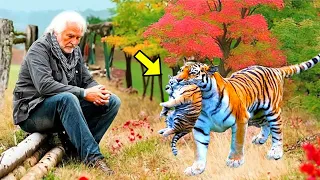 Crying Tigress Takes Her Cub To This Man & Begs For Help, Then He Did Something Unbelievable!