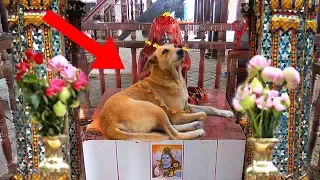 Most MYSTERIOUS Temples In India!