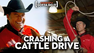 YIPPEE KI YAY! COWBOY Mike Rowe Takes a CRASH COURSE in Wrangling Cattle | Somebody's Gotta Do It