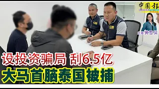 新闻抢鲜报｜2024-3-13 —— 设投资骗局 刮6.5亿 大马首脑泰国被捕 ● 濒临绝种 当局派员查  丰盛港路段现老虎踪迹