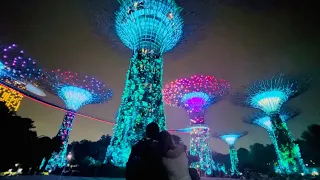 Garden Rhapsody | A Spectacular Show of Light at Gardens by the Bay