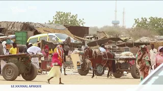 Soudan : les FSR passe à l'offensive à Al Fasher