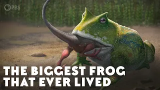 The Biggest Frog that Ever Lived