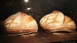 Timelapse Compilation | Sourdough Bread, Pizza, Rolls and Ciannamon Rolls Baked In A Home Oven.
