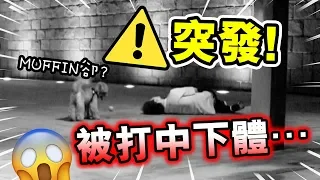 【⚠️突發】測試射球神器「慘被擊中下體」！？😱...狗狗卻過來做這動作？（中字）