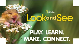Look and See: Play. Learn. Make. Connect.