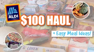 What I Got at ALDI for $100! Healthy Budget Friendly Grocery Haul with Meal Ideas! (WW Grocery Haul)