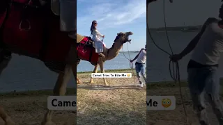 He almost got me lol #camel #bite #fyp