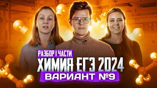 Вариант №9 ЕГЭ по ХИМИИ 2023, Степенин и Дацук | Анна, Влад и Варя с химфака МГУ