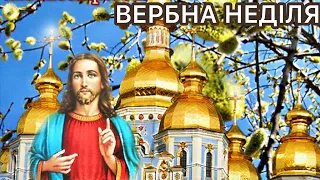 НАЙНІЖНІШЕ, НАЙМИЛІШЕ ПРИВІТАННЯ З ВЕРБНОЮ НЕДІЛЕЮ