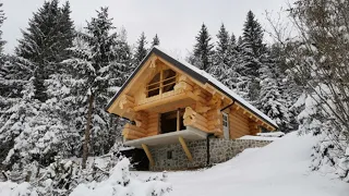 ☀️ How We Built 2 Log Houses in 1 Summer
