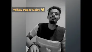 Yellow Paper Daisy | When chai met toast