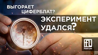 Эксперимент удался?