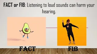 Fact or Fib Fitness