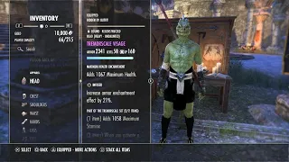 ESO My Current Argonian Arcanist Tank & DPS