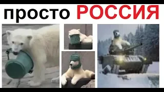 Лютые приколы. Самый РОССИЙСКИЙ медведь