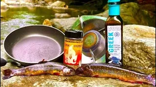 Brook Trout Catch n’ Cook At A Beautiful Mountain Stream!