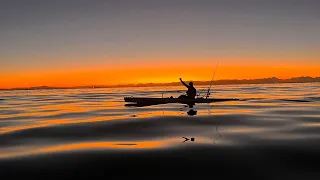 The BEST Robben Island fishing trip... EVER