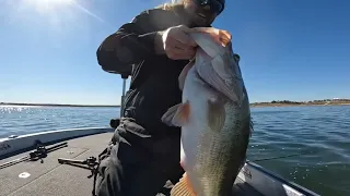 The real largest cast to catch stringer ever caught on video.  61.37 pounds on 5.