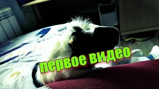 Наше первое видео с Куки