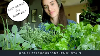 HERB GARDENS BEGINNERS GUIDE || HOW TO || GARDEN BASICS