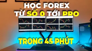 Học Forex Từ Số 0 Tới PRO Trong Vòng 45 Phút (Toàn Tập)