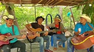 al pie de tu ventana con requinto y guitarra