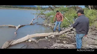 1ra parte  de una pesca de carpas en el río mataquito