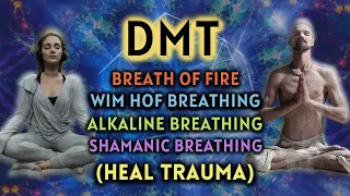 [HEAL TRAUMA] Anxiety Relieving Breathing Exercises | DMT Breathing (3 Guided Rounds)