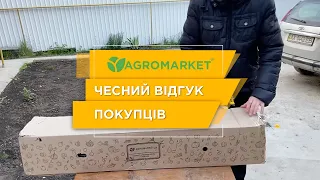 ОТЗЫВ АГРОМАРКЕТ (ВІДГУК) | ЛАВАНДА , МАЛИНОВЕ ДЕРЕВО ТА БАРБАРИС | Agro-Market.ua