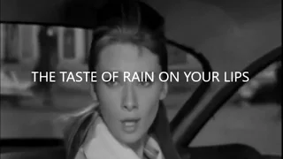 NINE TEARS - The Taste Of Rain On Your Lips