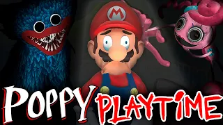 Mario Plays Poppy Playtime !!! (Chapter 1 & 2)