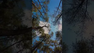 Timelapse by dji pocket 2