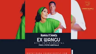 Hamisa Mobeto X Seneta Kilaka - Ex wangu Beat Instrumental | Music singeli | CHANKYSUPPLY.COM