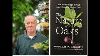 "The Nature of Oaks" with Doug Tallamy